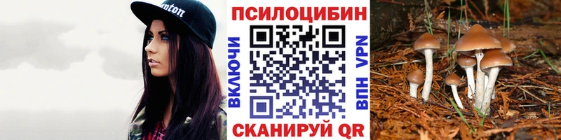 Галлюциногенные грибы прущие грибы Маркс